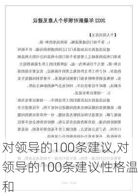 对领导的100条建议,对领导的100条建议性格温和