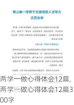 两学一做心得体会12篇,两学一做心得体会12篇300字