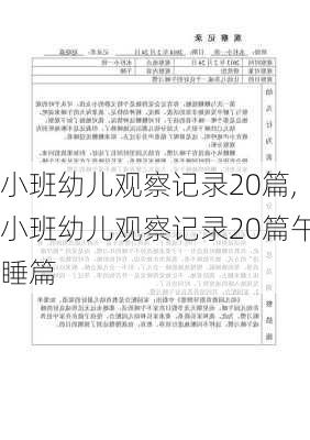 小班幼儿观察记录20篇,小班幼儿观察记录20篇午睡篇