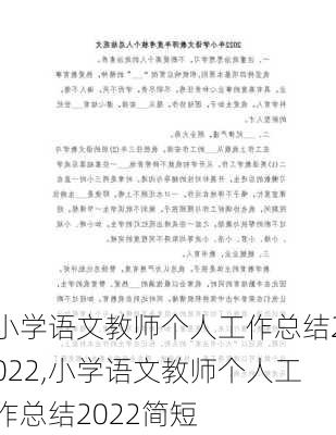 小学语文教师个人工作总结2022,小学语文教师个人工作总结2022简短