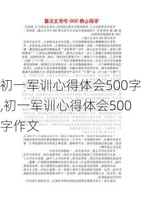 初一军训心得体会500字,初一军训心得体会500字作文