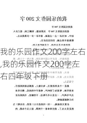 我的乐园作文200字左右,我的乐园作文200字左右四年级下册