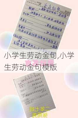 小学生劳动金句,小学生劳动金句模版