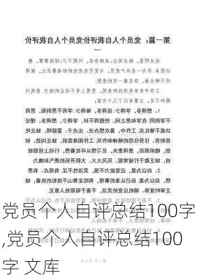 党员个人自评总结100字,党员个人自评总结100字 文库