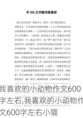 我喜欢的小动物作文600字左右,我喜欢的小动物作文600字左右小猫