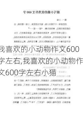 我喜欢的小动物作文600字左右,我喜欢的小动物作文600字左右小猫