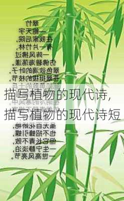 描写植物的现代诗,描写植物的现代诗短