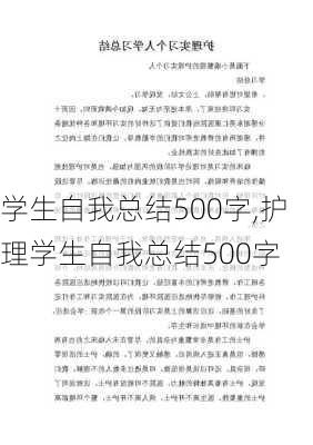 学生自我总结500字,护理学生自我总结500字