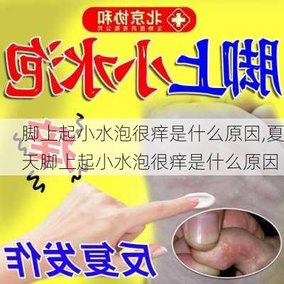 脚上起小水泡很痒是什么原因,夏天脚上起小水泡很痒是什么原因