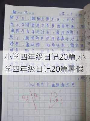 小学四年级日记20篇,小学四年级日记20篇暑假