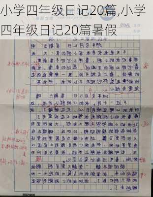 小学四年级日记20篇,小学四年级日记20篇暑假