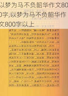 以梦为马不负韶华作文800字,以梦为马不负韶华作文800字以上