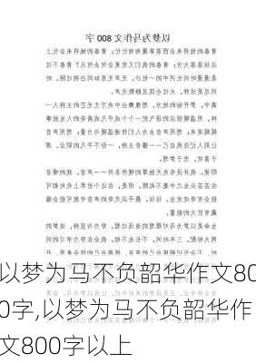 以梦为马不负韶华作文800字,以梦为马不负韶华作文800字以上