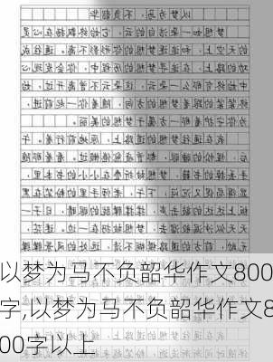 以梦为马不负韶华作文800字,以梦为马不负韶华作文800字以上