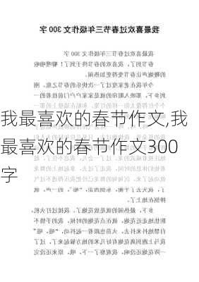 我最喜欢的春节作文,我最喜欢的春节作文300字