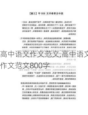 高中语文作文范文,高中语文作文范文800字