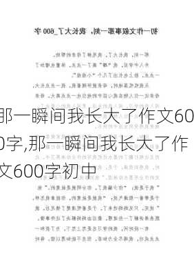 那一瞬间我长大了作文600字,那一瞬间我长大了作文600字初中