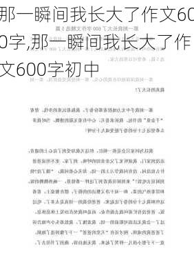 那一瞬间我长大了作文600字,那一瞬间我长大了作文600字初中