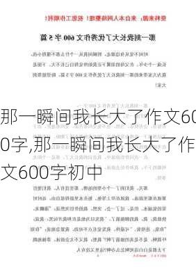 那一瞬间我长大了作文600字,那一瞬间我长大了作文600字初中