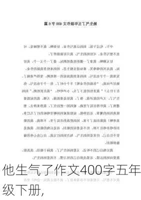 他生气了作文400字五年级下册,