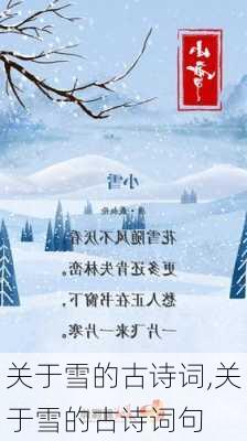 关于雪的古诗词,关于雪的古诗词句