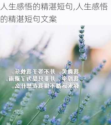 人生感悟的精湛短句,人生感悟的精湛短句文案