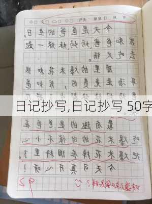 日记抄写,日记抄写 50字