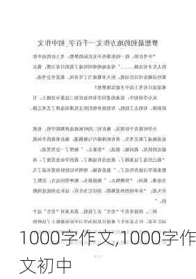 1000字作文,1000字作文初中