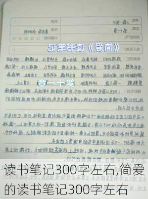 读书笔记300字左右,简爱的读书笔记300字左右