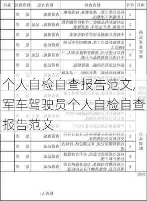 个人自检自查报告范文,军车驾驶员个人自检自查报告范文