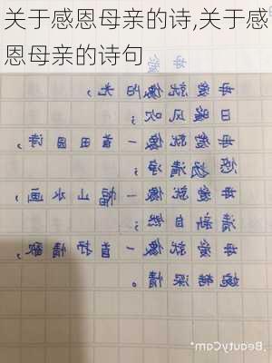 关于感恩母亲的诗,关于感恩母亲的诗句