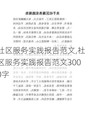 社区服务实践报告范文,社区服务实践报告范文3000字