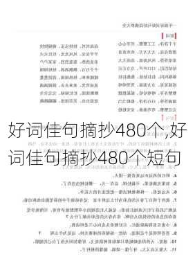 好词佳句摘抄480个,好词佳句摘抄480个短句