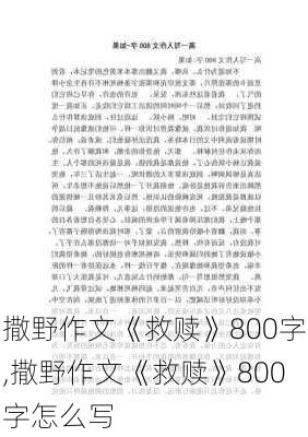 撒野作文《救赎》800字,撒野作文《救赎》800字怎么写