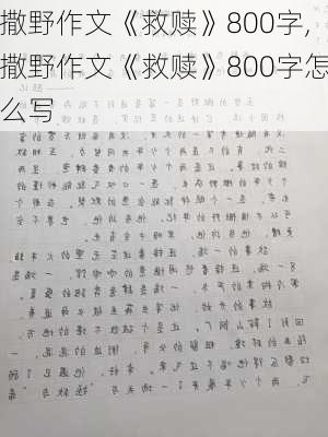 撒野作文《救赎》800字,撒野作文《救赎》800字怎么写