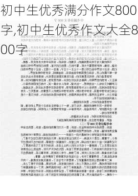 初中生优秀满分作文800字,初中生优秀作文大全800字