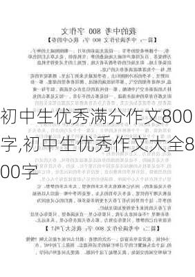 初中生优秀满分作文800字,初中生优秀作文大全800字