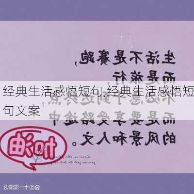 经典生活感悟短句,经典生活感悟短句文案