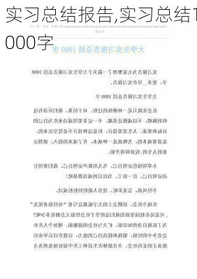 实习总结报告,实习总结1000字