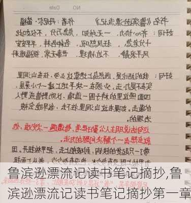 鲁滨逊漂流记读书笔记摘抄,鲁滨逊漂流记读书笔记摘抄第一章