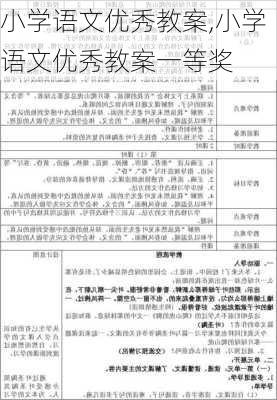 小学语文优秀教案,小学语文优秀教案一等奖