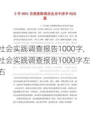 社会实践调查报告1000字,社会实践调查报告1000字左右