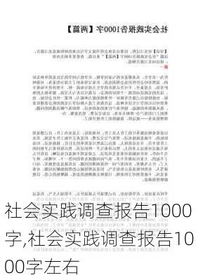 社会实践调查报告1000字,社会实践调查报告1000字左右