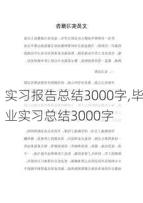 实习报告总结3000字,毕业实习总结3000字