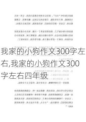 我家的小狗作文300字左右,我家的小狗作文300字左右四年级