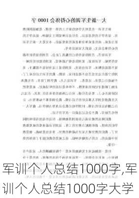 军训个人总结1000字,军训个人总结1000字大学