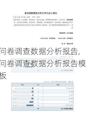 问卷调查数据分析报告,问卷调查数据分析报告模板