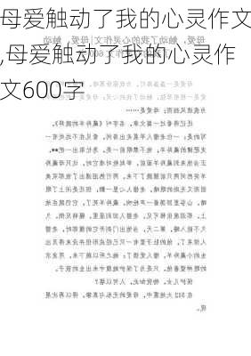 母爱触动了我的心灵作文,母爱触动了我的心灵作文600字