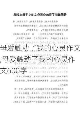 母爱触动了我的心灵作文,母爱触动了我的心灵作文600字