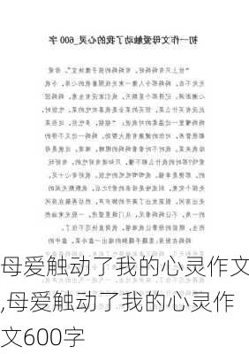 母爱触动了我的心灵作文,母爱触动了我的心灵作文600字